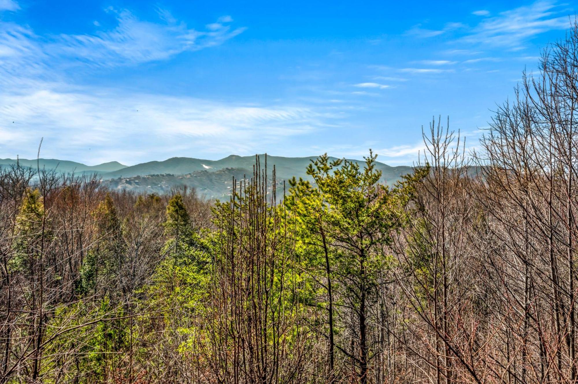 Scenic Ridge Villa Гетлинбург Екстериор снимка